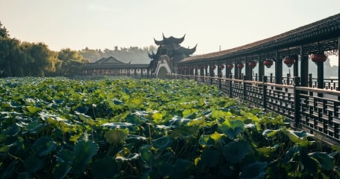 Lotus Pond-Garden-Jinxi